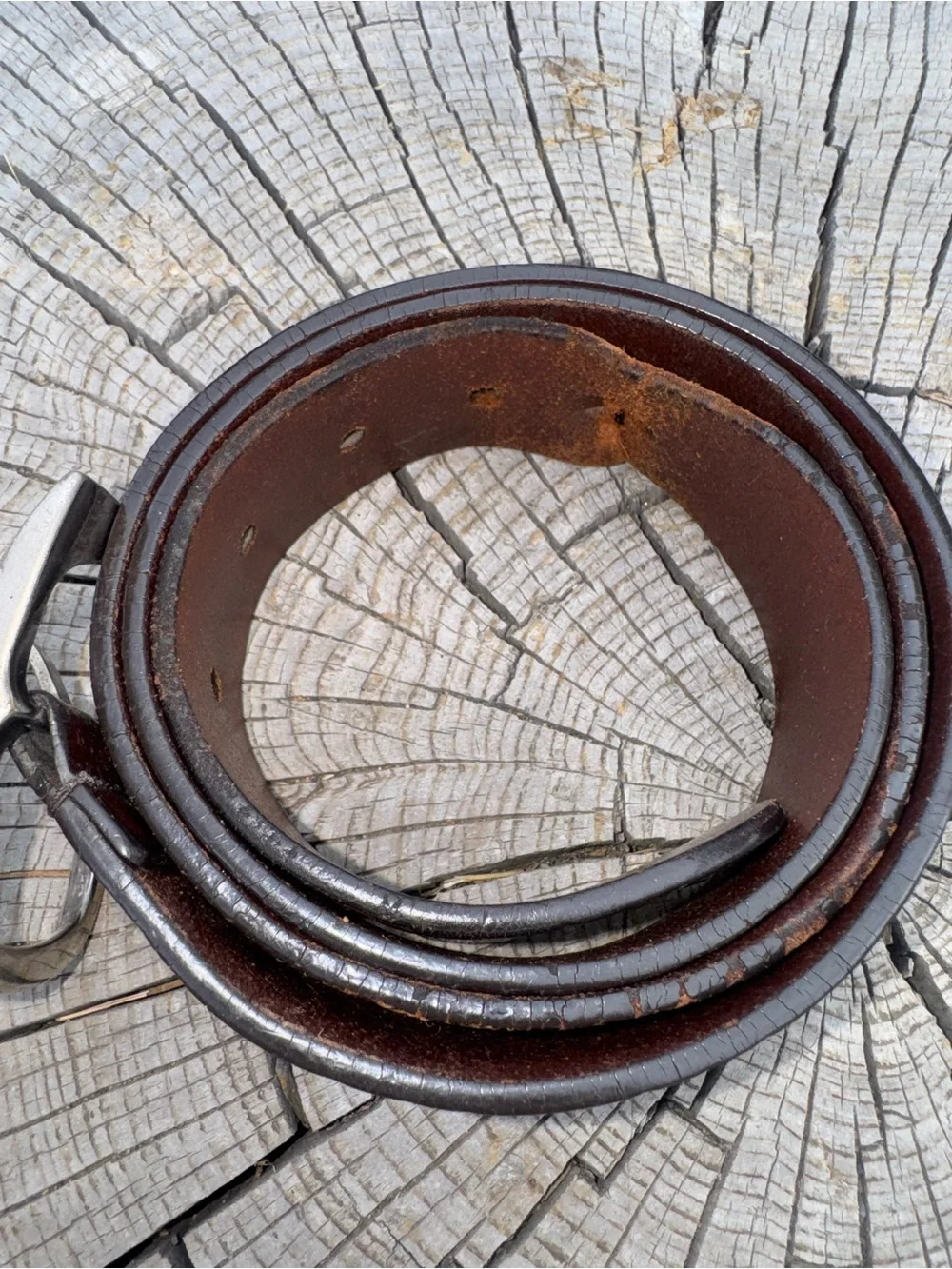 Gucci Brown Leather Belt with Silver-Tone Buckle